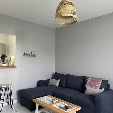 Appartement 10 Minutes De Rouen Oissel